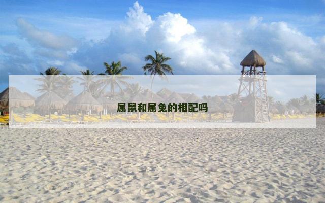 属鼠和属兔的相配吗