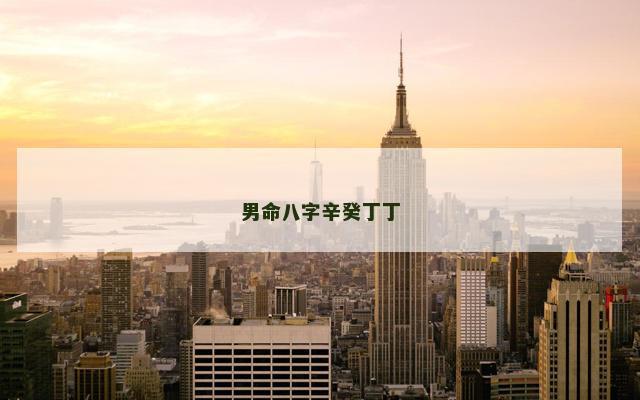 男命八字辛癸丁丁