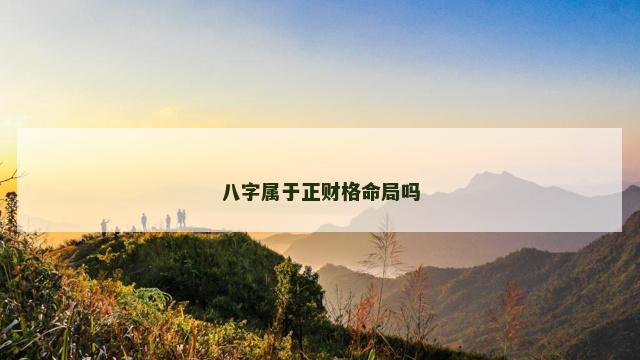 八字属于正财格命局吗