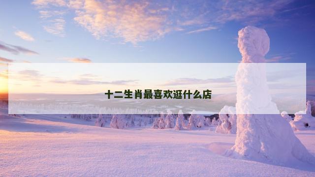十二生肖最喜欢逛什么店