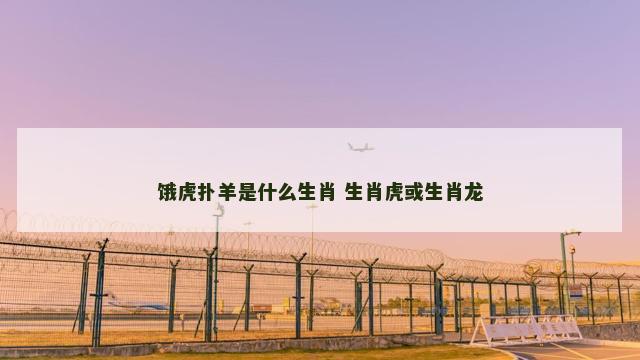饿虎扑羊是什么生肖 生肖虎或生肖龙