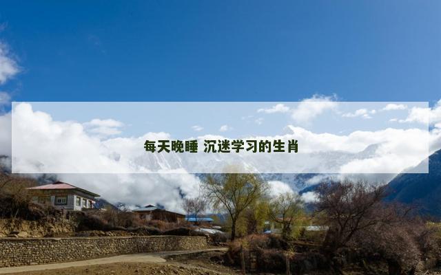 每天晚睡 沉迷学习的生肖
