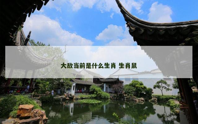 大敌当前是什么生肖 生肖鼠