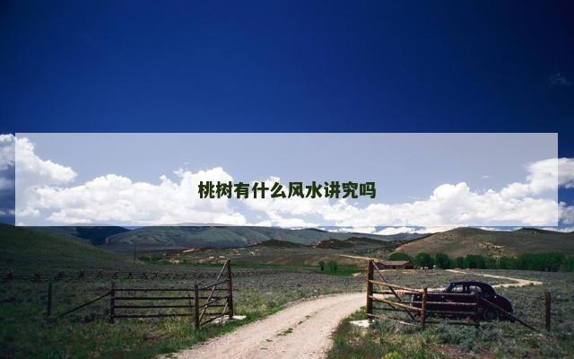 桃树有什么风水讲究吗