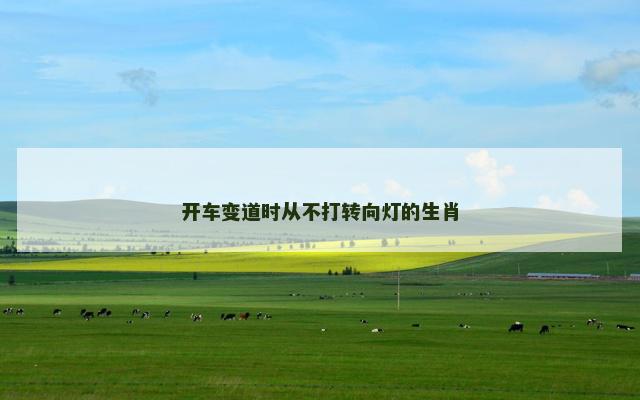 开车变道时从不打转向灯的生肖