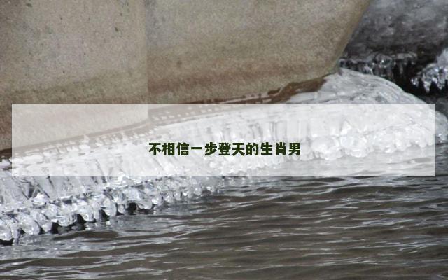 不相信一步登天的生肖男