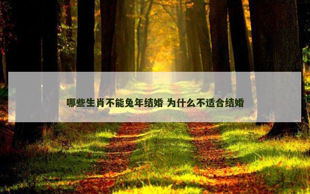 哪些生肖不能兔年结婚 为什么不适合结婚