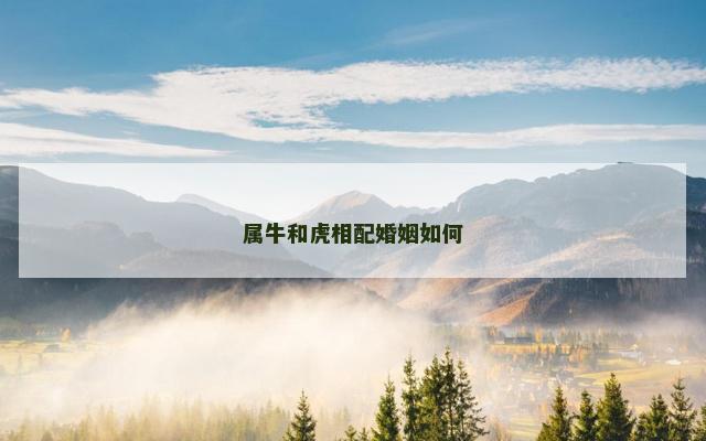 属牛和虎相配婚姻如何