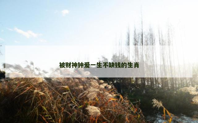 被财神钟爱一生不缺钱的生肖