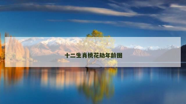 十二生肖桃花劫年龄图