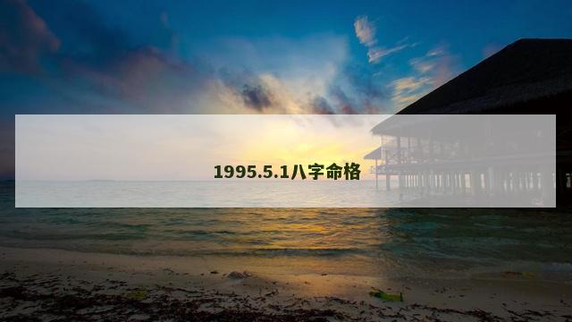 1995.5.1八字命格