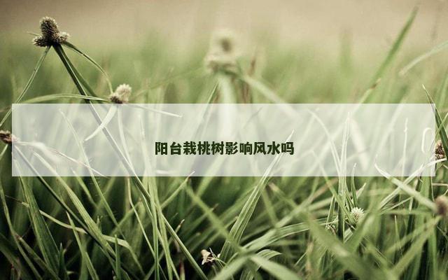 阳台栽桃树影响风水吗