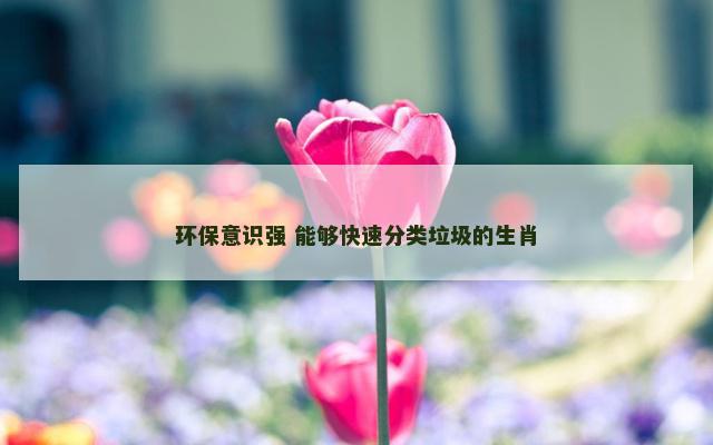 环保意识强 能够快速分类垃圾的生肖