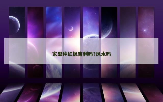 家里种红枫吉利吗?风水吗