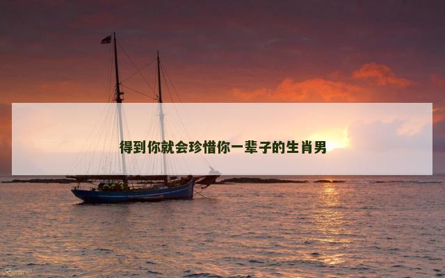 得到你就会珍惜你一辈子的生肖男