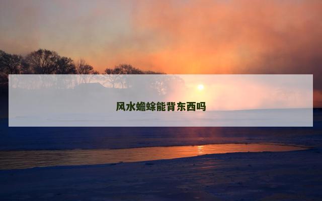 风水蟾蜍能背东西吗