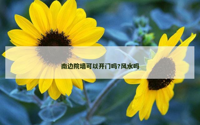 南边院墙可以开门吗?风水吗