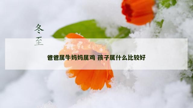 爸爸属牛妈妈属鸡 孩子属什么比较好