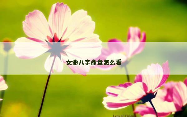 女命八字命盘怎么看