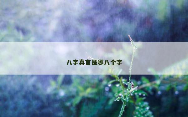 八字真言是哪八个字