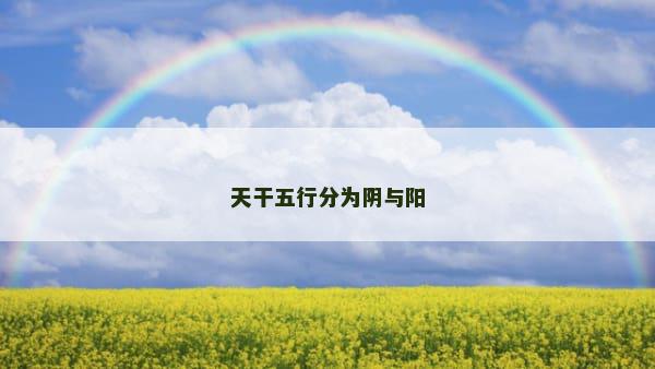 天干五行分为阴与阳
