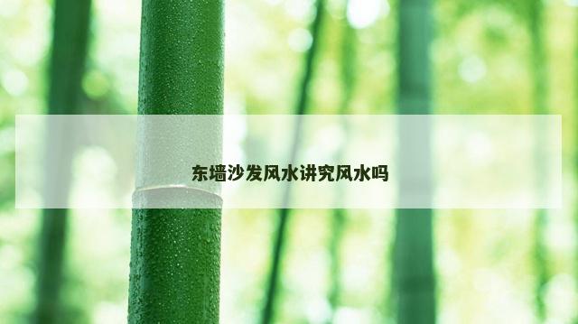 东墙沙发风水讲究风水吗