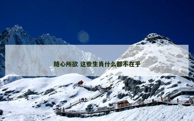 随心所欲 这些生肖什么都不在乎