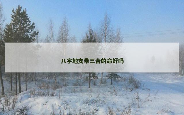 八字地支带三合的命好吗