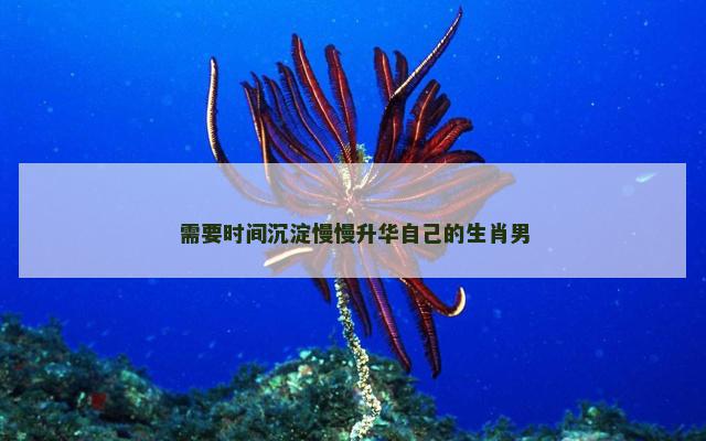 需要时间沉淀慢慢升华自己的生肖男