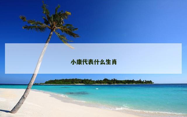 小康代表什么生肖