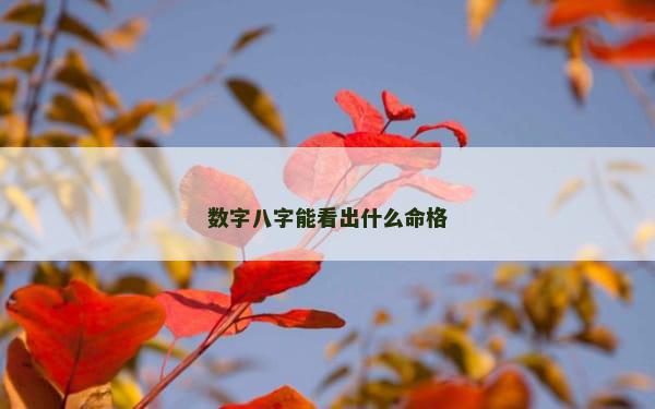 数字八字能看出什么命格