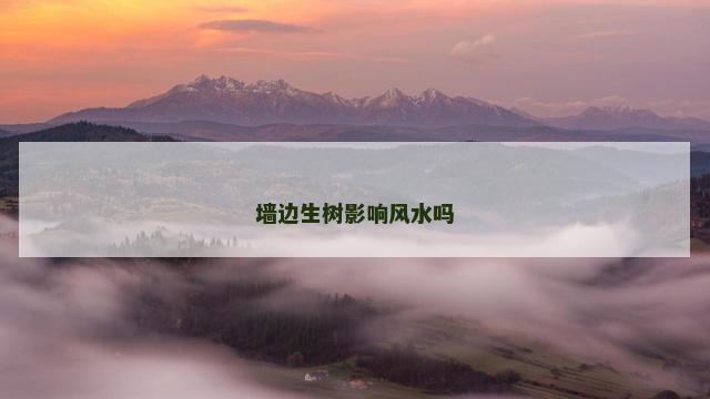 墙边生树影响风水吗