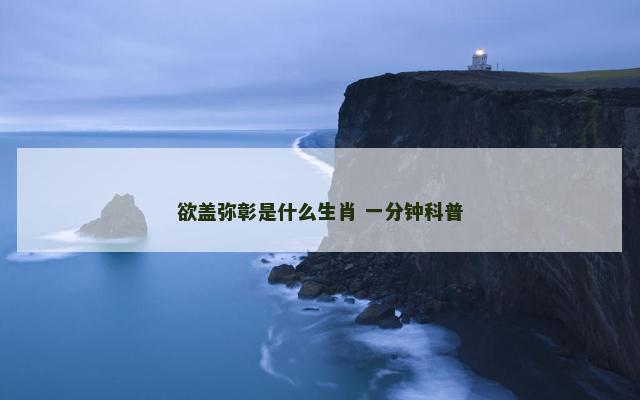 欲盖弥彰是什么生肖 一分钟科普