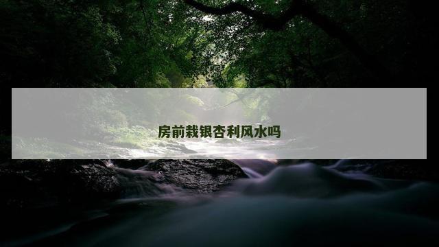 房前栽银杏利风水吗