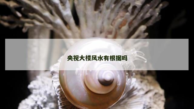 央视大楼风水有根据吗