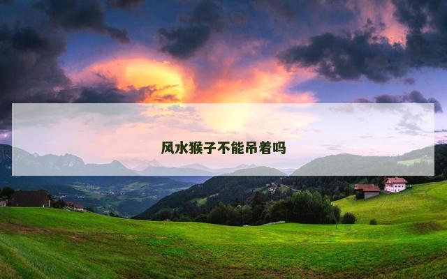 风水猴子不能吊着吗