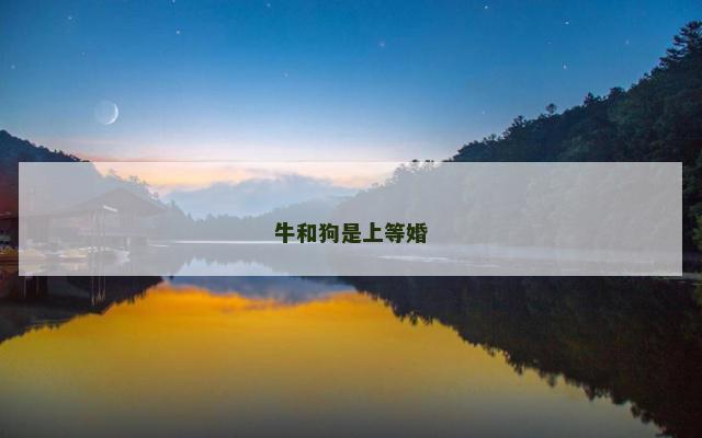 牛和狗是上等婚