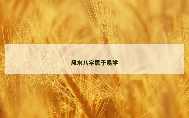 风水八字属于易学