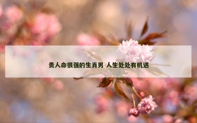 贵人命很强的生肖男 人生处处有机遇