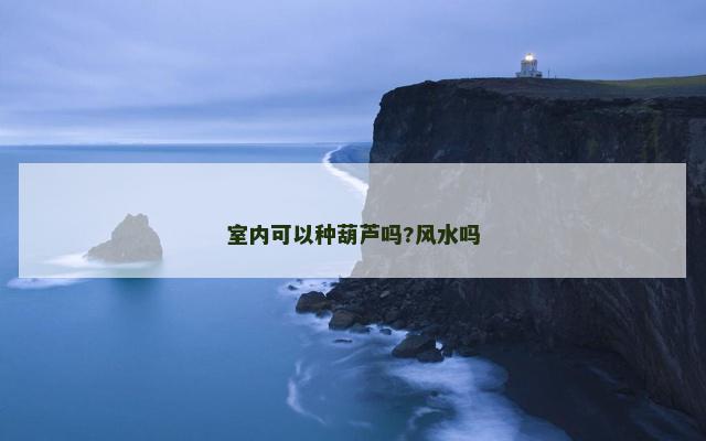 室内可以种葫芦吗?风水吗