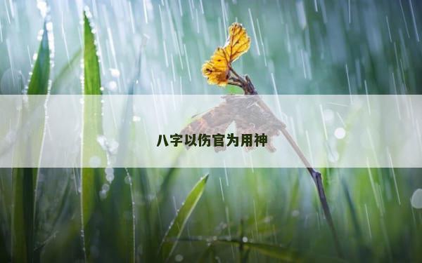 八字以伤官为用神