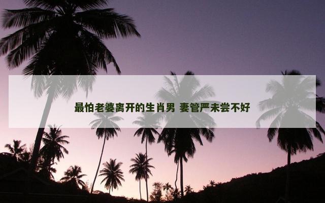 最怕老婆离开的生肖男 妻管严未尝不好