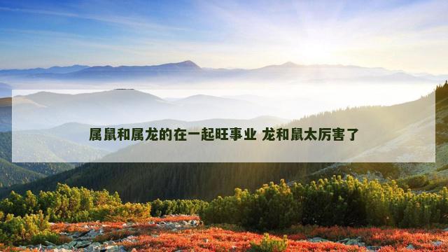 属鼠和属龙的在一起旺事业 龙和鼠太厉害了