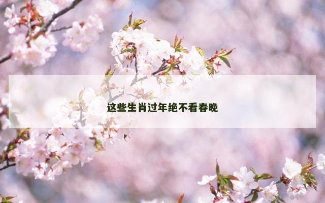 这些生肖过年绝不看春晚