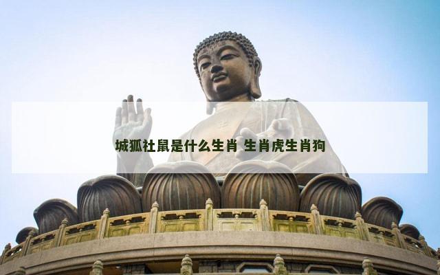 城狐社鼠是什么生肖 生肖虎生肖狗