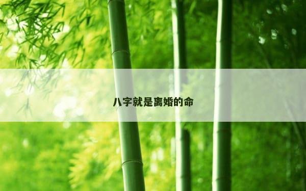 八字就是离婚的命