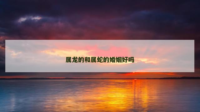 属龙的和属蛇的婚姻好吗