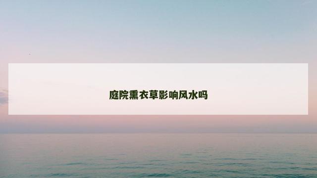 庭院熏衣草影响风水吗