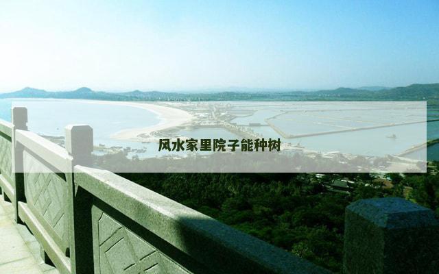 风水家里院子能种树