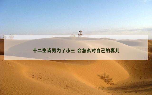 十二生肖男为了小三 会怎么对自己的妻儿